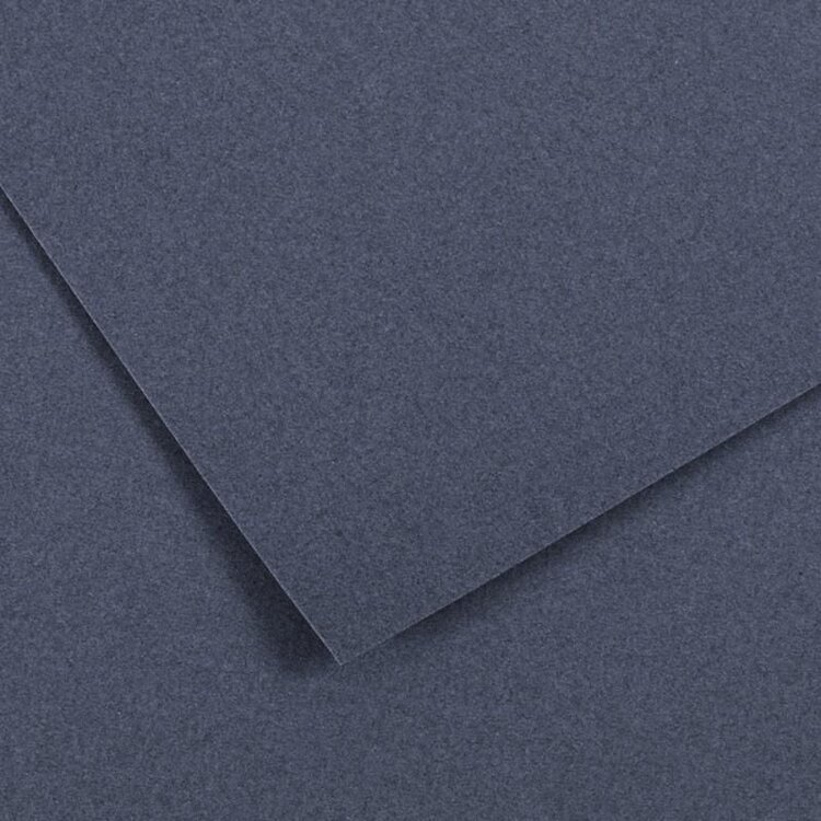 CANSON / PACON PAPERS Ingres Vidalon® Pastel Paper Sheets – 19.5" x 25"