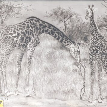 ARTIST CORNER FRAMED GIRAFFE 16 X 20