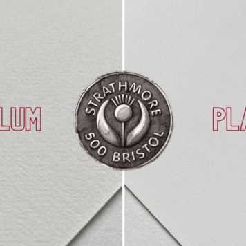 PACON/STRATHMORE Strathmore 500 Series Bristol Plate Sheets