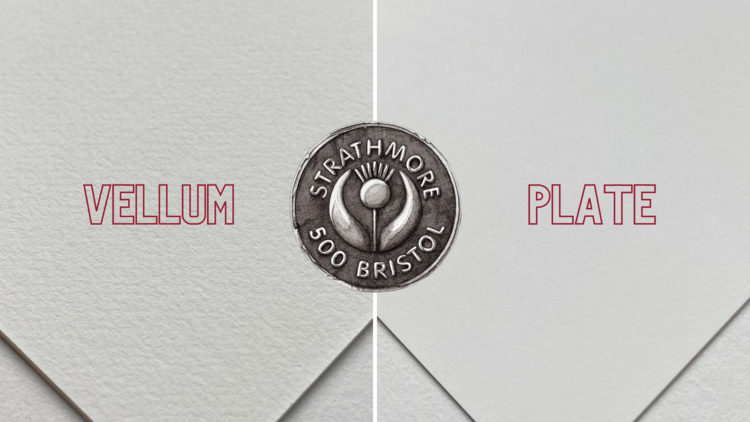 PACON/STRATHMORE Strathmore 500 Series Bristol Plate Sheets
