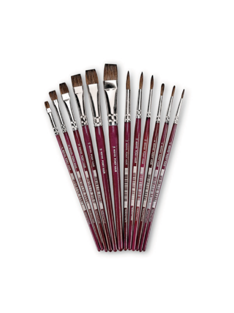 COLART Reeves Pony Brushes Classpack of 144