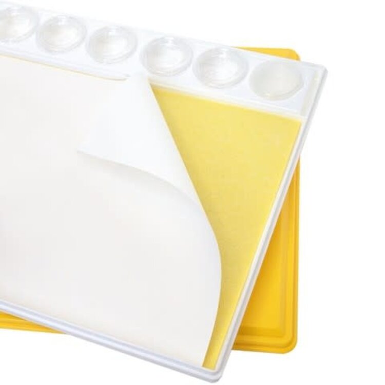 MASTERSON ART PRODUCTS Masterson Sealable Palettes – Airtight Paint Storage & Sta-Wet Systems