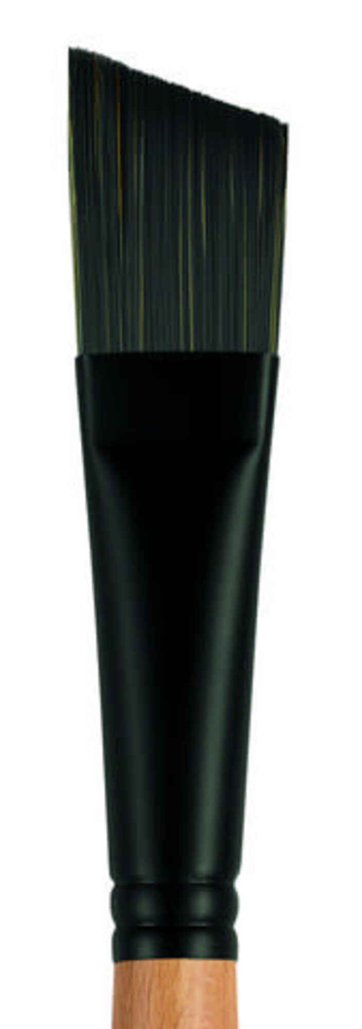 PRINCETON ART & BRUSH CO Princeton Catalyst Brushes - Polytip Long Handle Brushes for Oil Painting