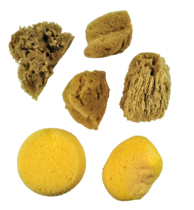 ROYAL & LANGNICKEL Royal Brush Natural & Synthetic Sponge Set