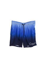 Calvin Klein CALVIN KLEIN  Men'sswimwear   Shorts Size L