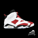 Jordan Jordan Carmine 6's