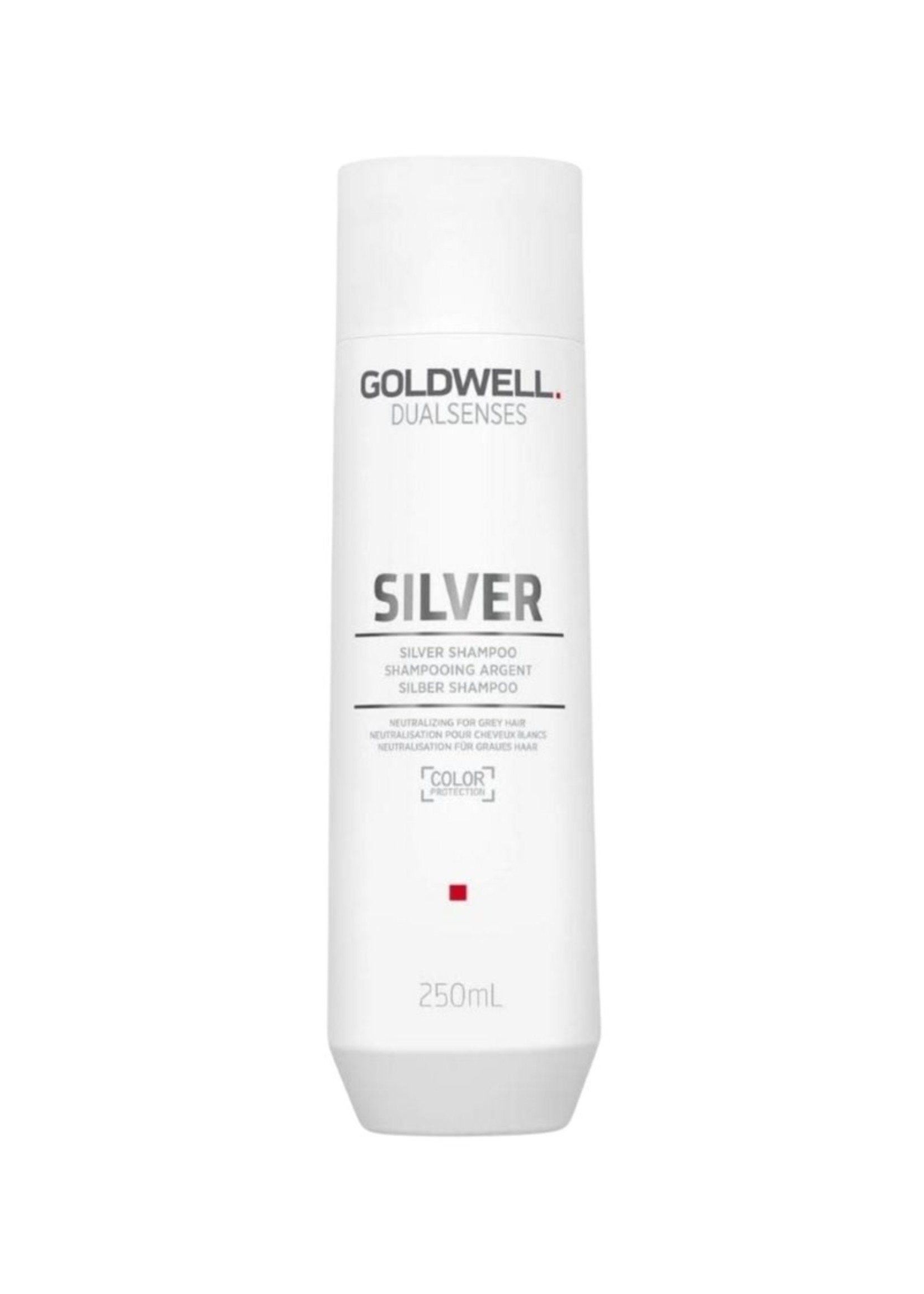 Goldwell Goldwell Dualsenses Silver Shampoo 300ml