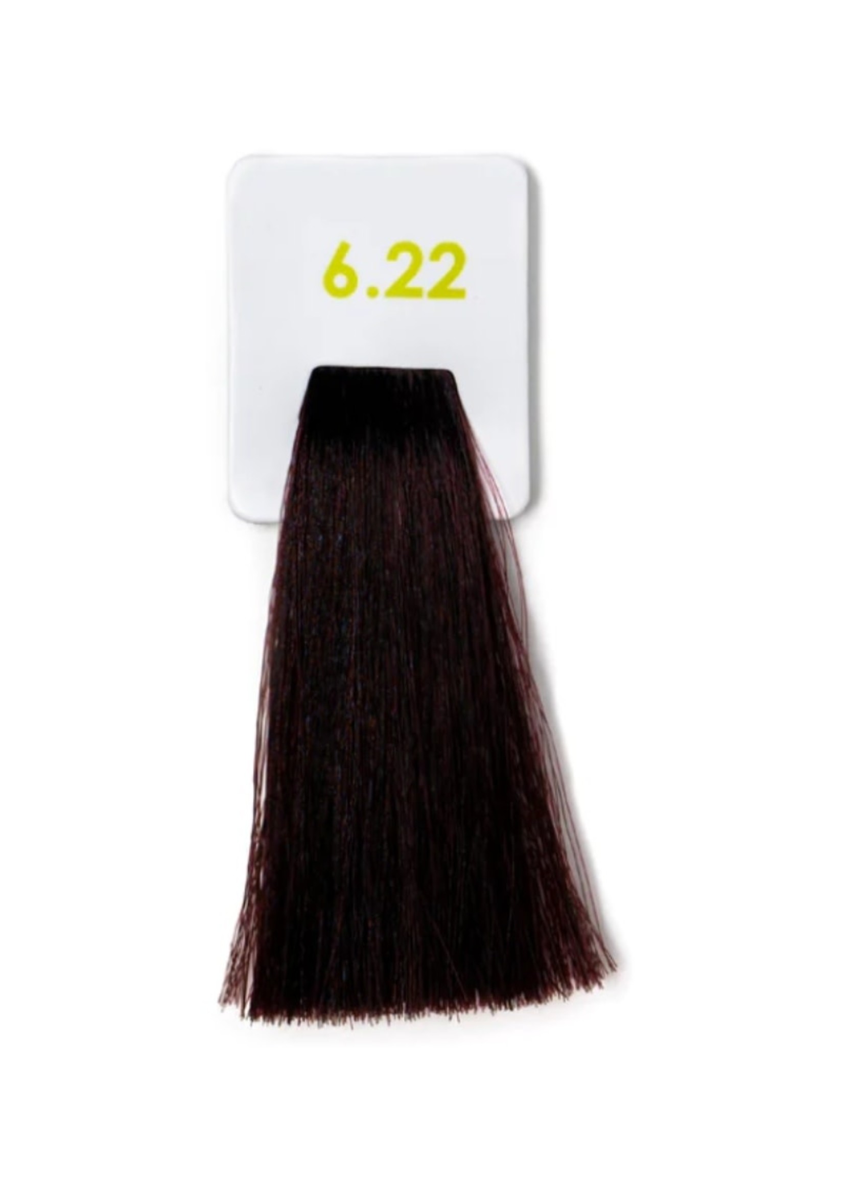 Nouvelle Nouvelle Lively Ammonia-Free Hair Colour 6.22 Dark Intense Violet Blonde 100ml