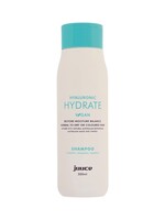 Juuce Juuce Hyaluronic Hydrate Shampoo 300ml