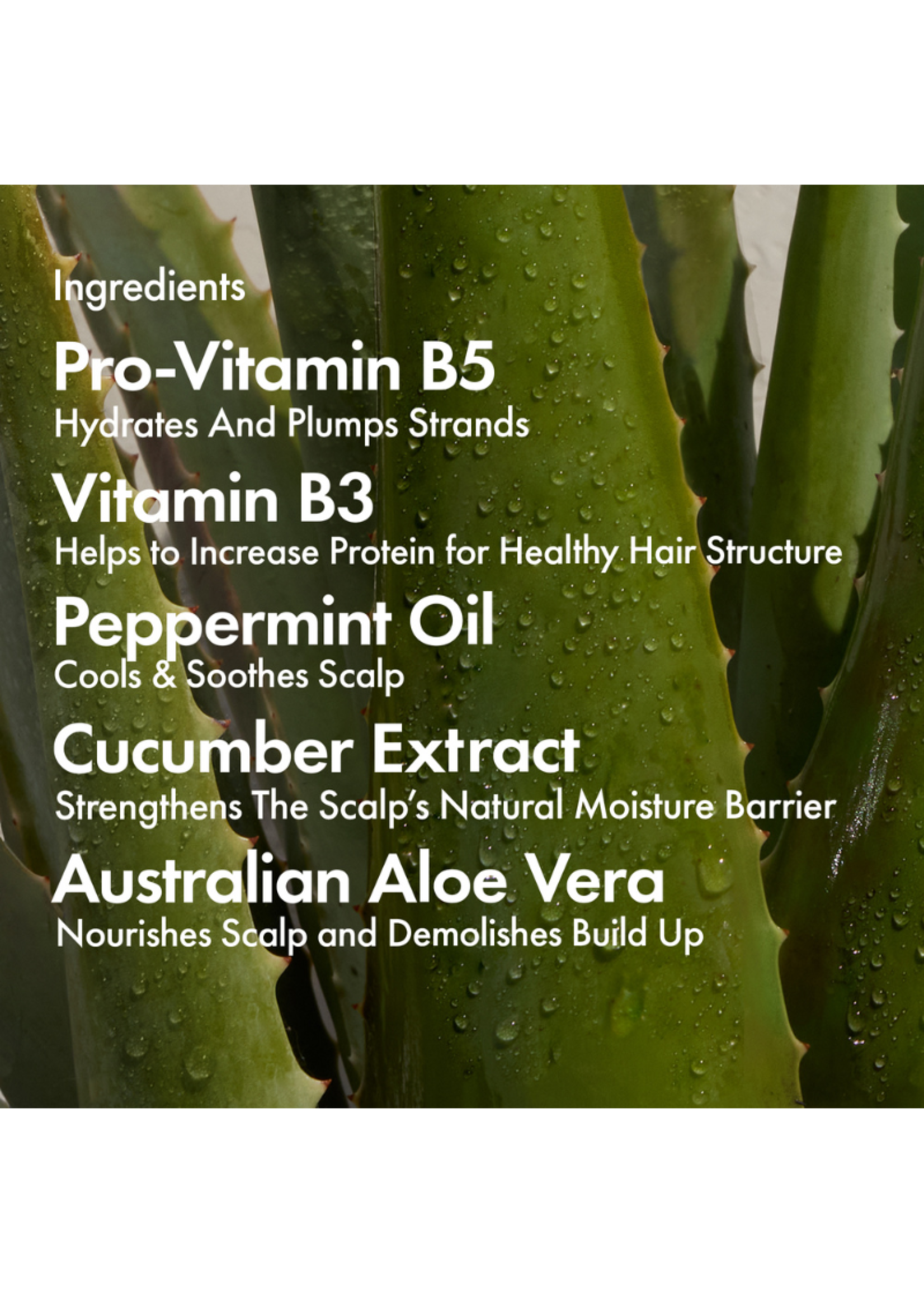 Bondi Boost Dry + Itchy Scalp Spray 125ml EV Hair and Beauty