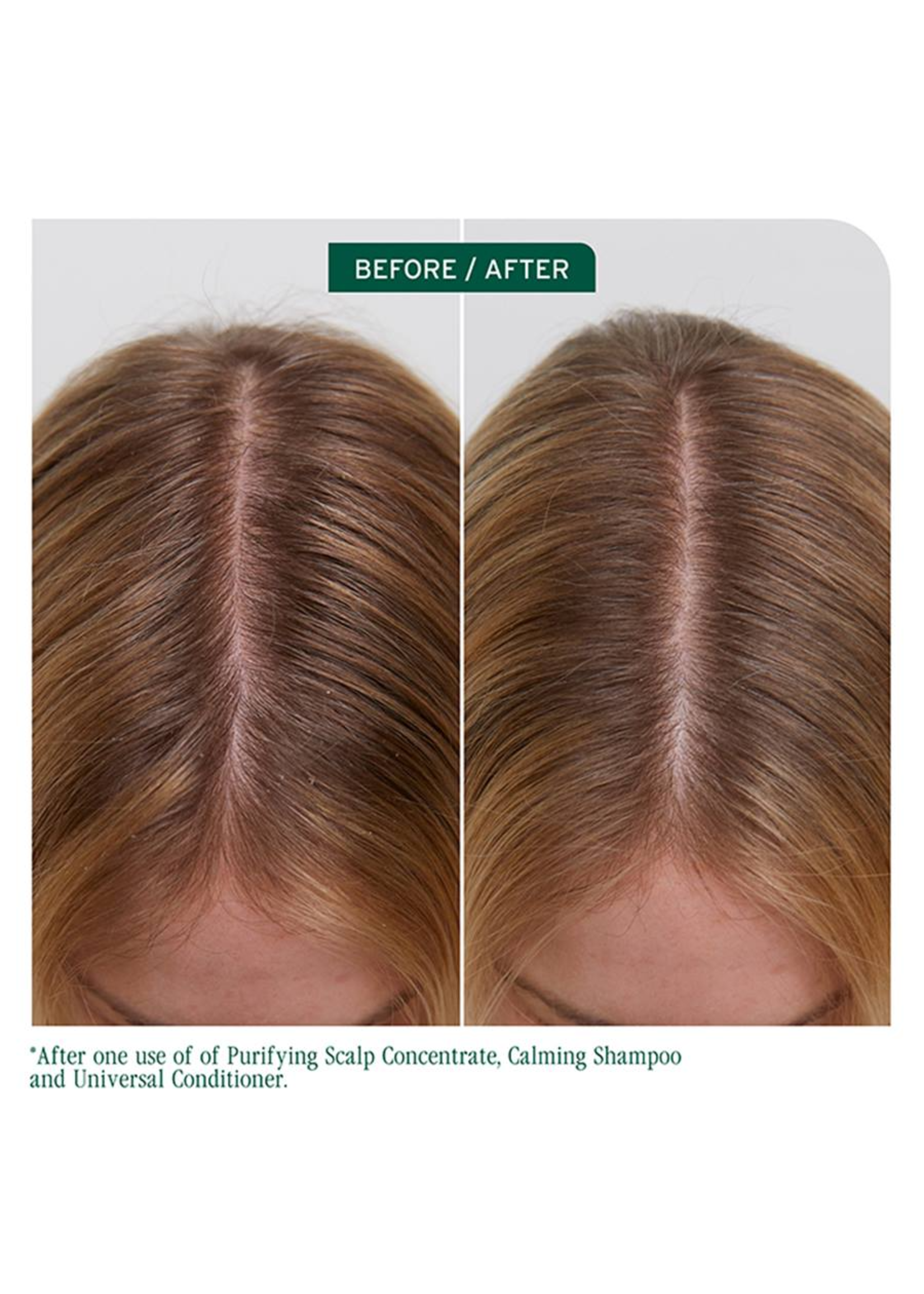 Biolage Biolage Scalp Sync Universal Conditioner 236ml