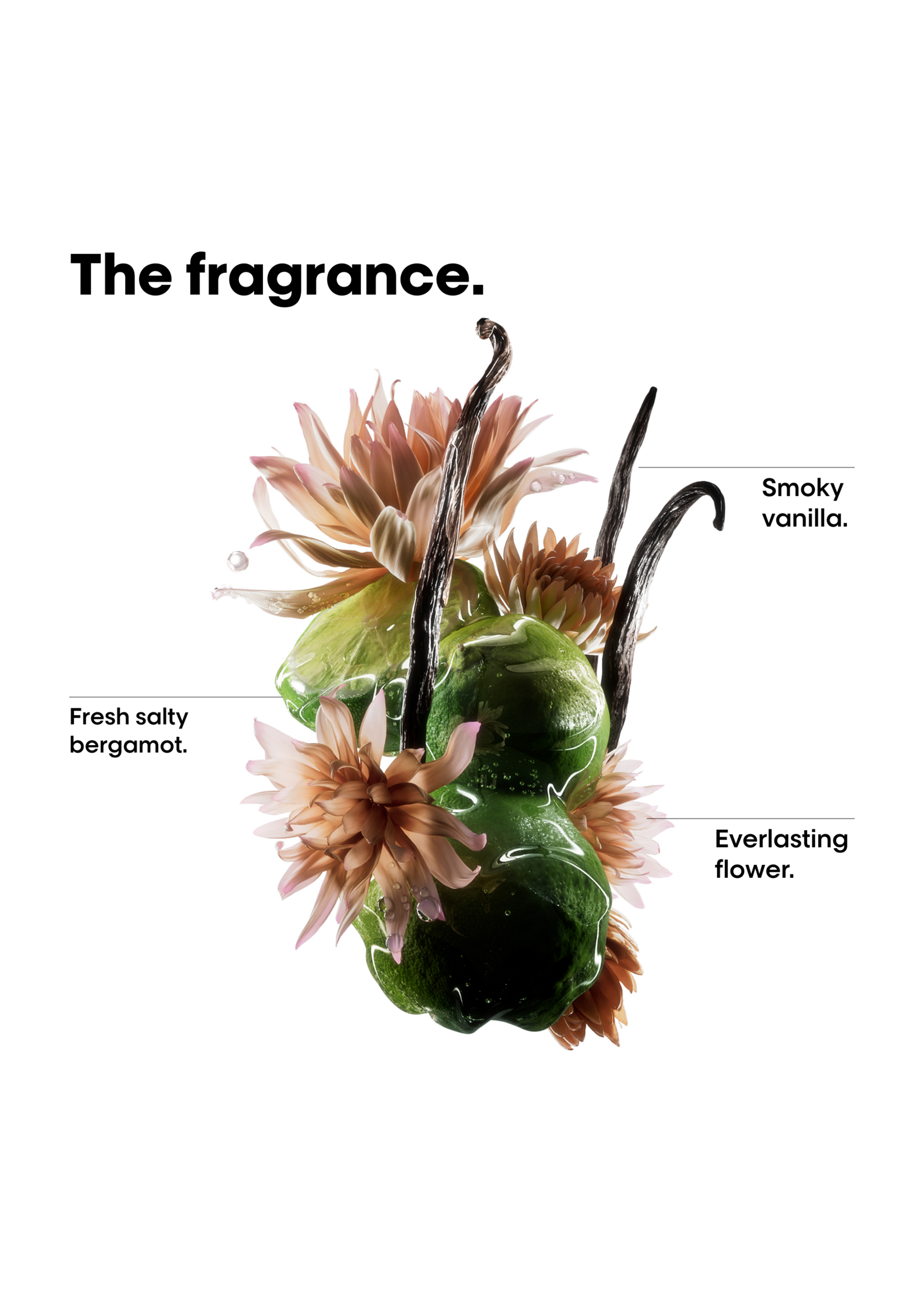 Loreal Professional Loreal Serie Expert Absolut Repair Molecular Oil 30ml