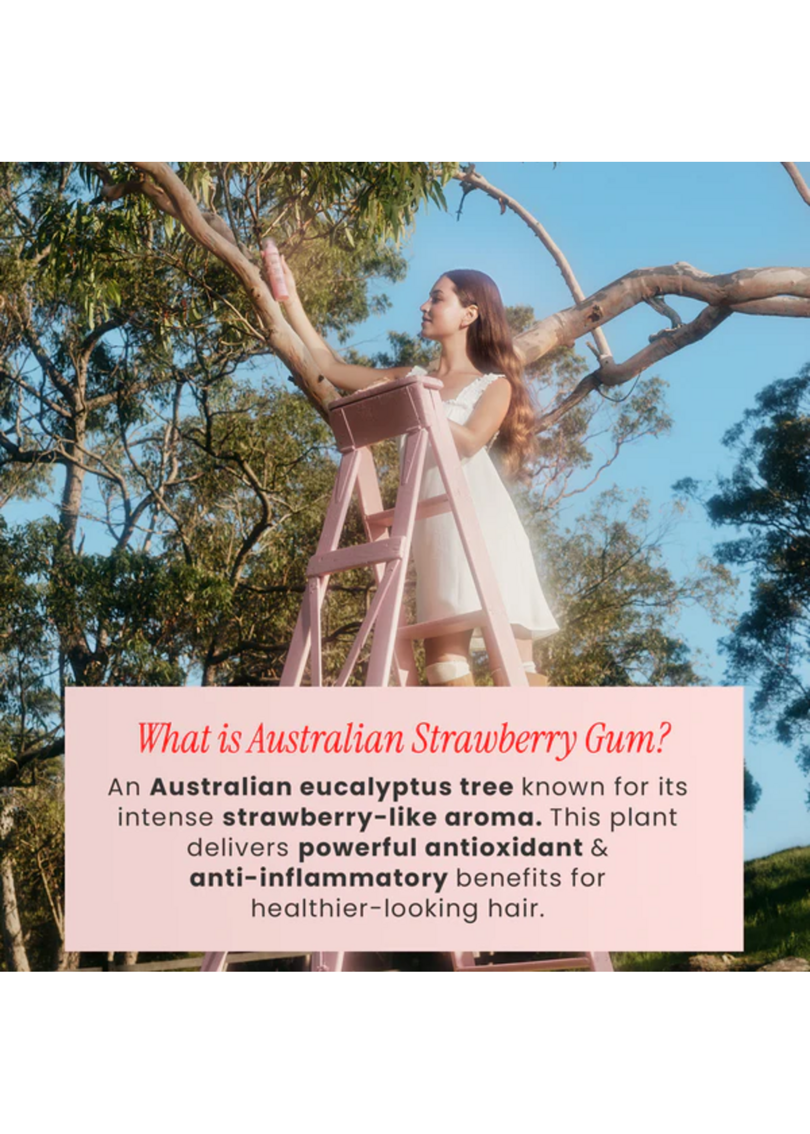 Bondi Boost Bondi Boost Strawberry Gum Miracle Mist Leave - In Conditioner + Heat Protect 150ml