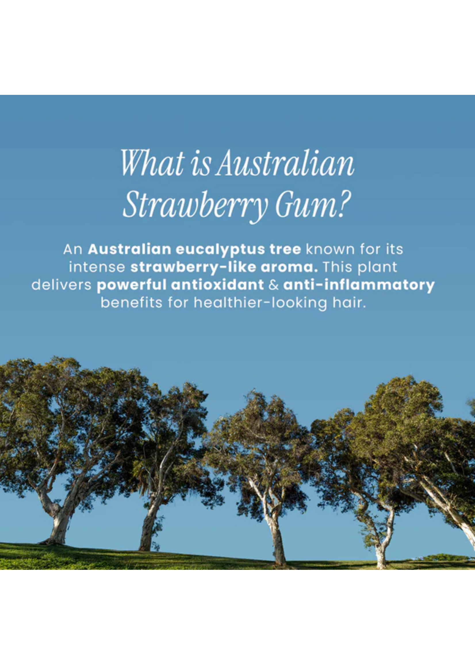 Bondi Boost Bondi Boost HG Strawberry Gum Miracle Hair Mask 250ml