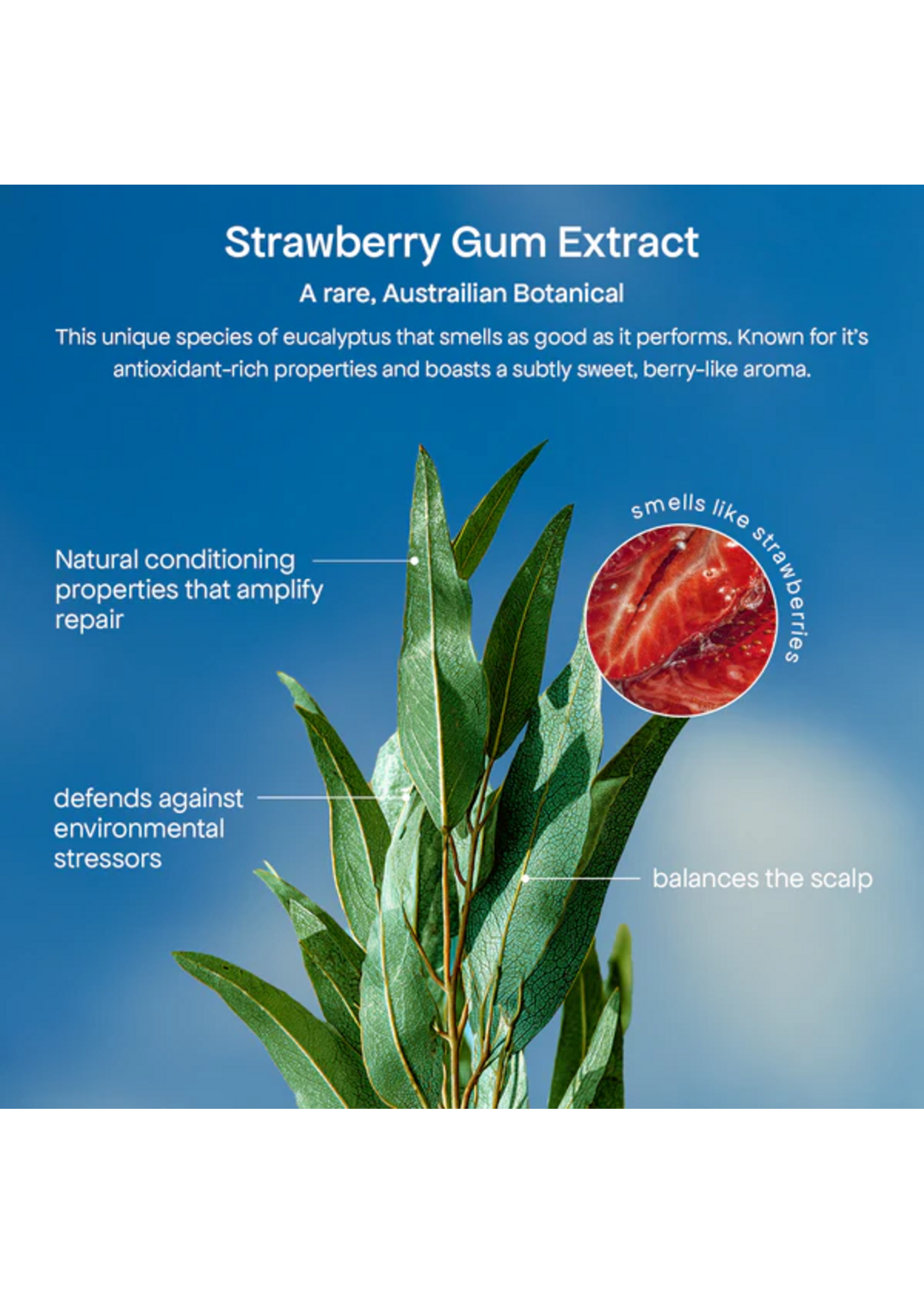 Bondi Boost Bondi Boost HG Strawberry Gum Miracle Hair Mask 250ml