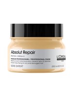Loreal Professional Loreal Serie Expert Absolut Repair Resurfacing Mask 250mL