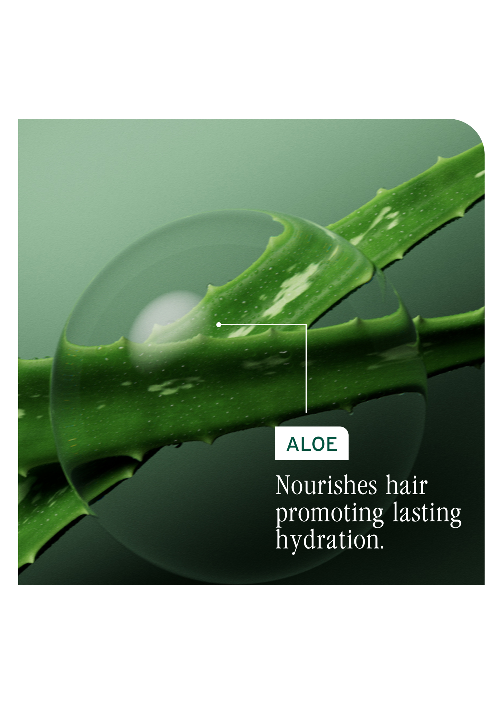Biolage Biolage Hydra Source Shampoo Refill 500ml