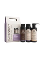 Everescents Everescents Organic Xmas 2026 Gift Pack - Lavender