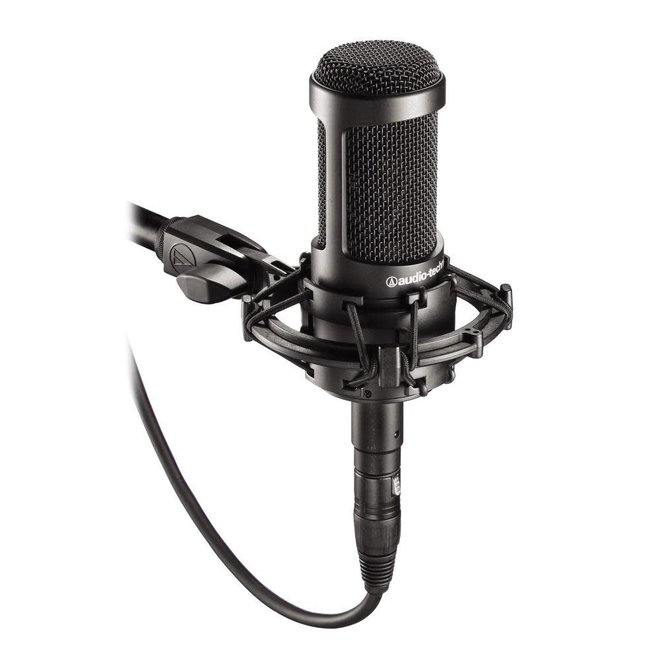 Audio-Technica AT2035 Condenser Microphone