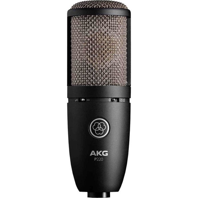 AKG P220 Studio Condenser Microphone w/Shockmount and Case