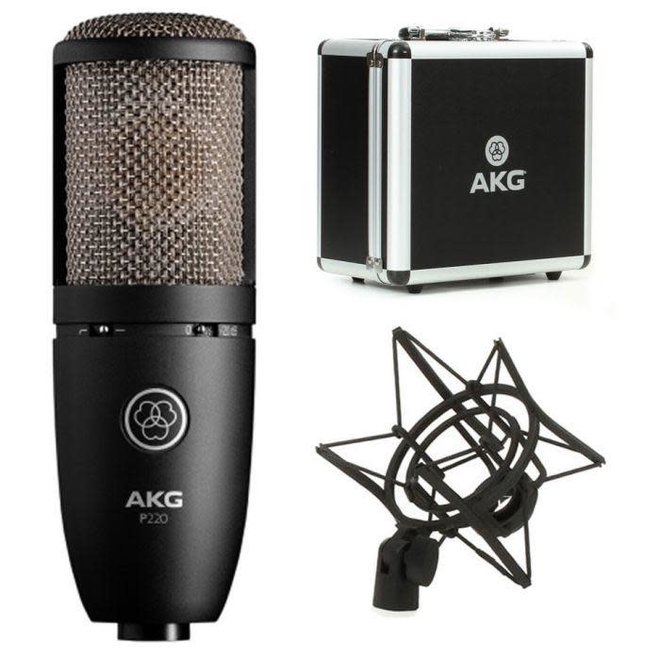 AKG P220 Studio Condenser Microphone w/Shockmount and Case