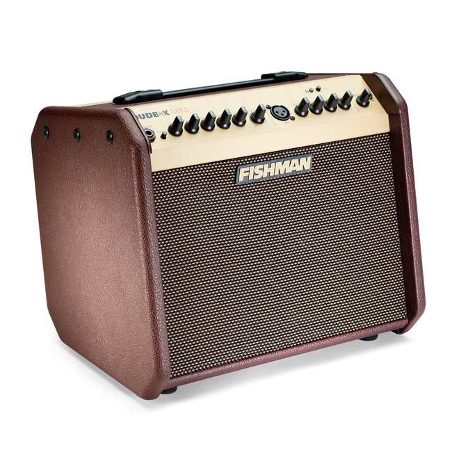 Fishman PRO-LBT-500 Loudbox Mini Acoustic Combo Amplifier, w/Bluetooth