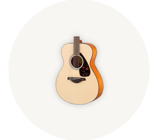 Acoustic Guitars