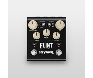 Strymon Flint V2 Tremolo & Reverb Pedal - Janzen Brothers Music