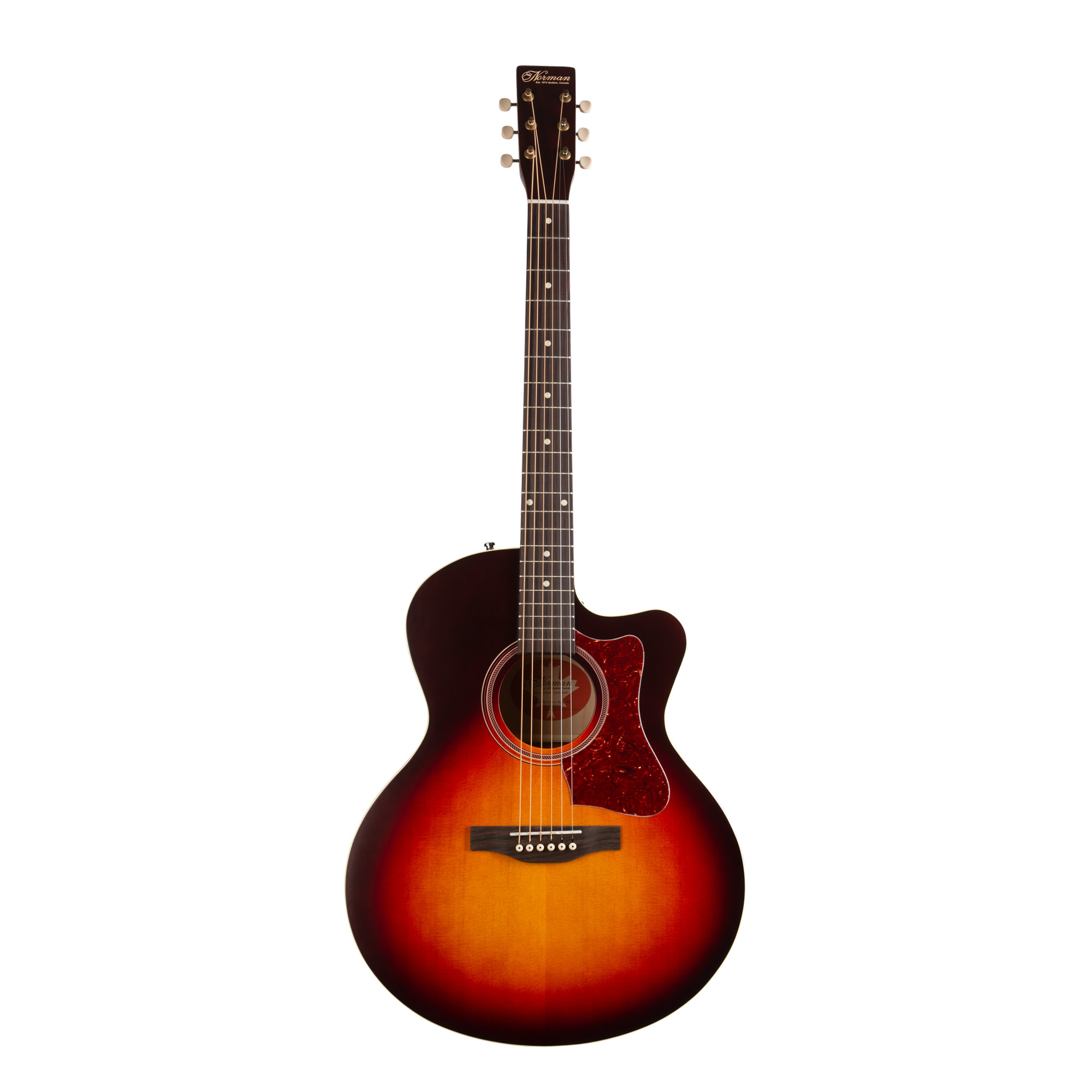 ギター NORMAN B18 CW (fishman presys) Acoustic Guitar Norman Protege B18 CW Cedar Presys Natural S