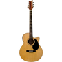 BeaverCreek BCTF101CE Folk Cutaway Acoustic Guitar, Natural w/Gigbag