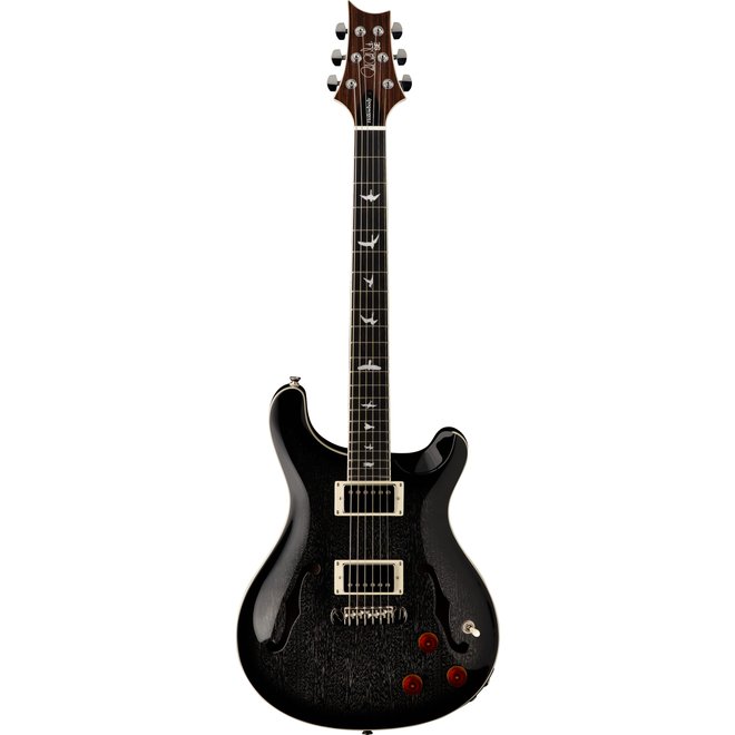 PRS SE Hollowbody Standard Piezo Electric Guitar, Dog Hair Smokeburst, Hardshell Case
