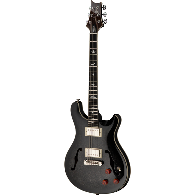 PRS SE Hollowbody Standard Piezo Electric Guitar, Dog Hair Smokeburst, Hardshell Case