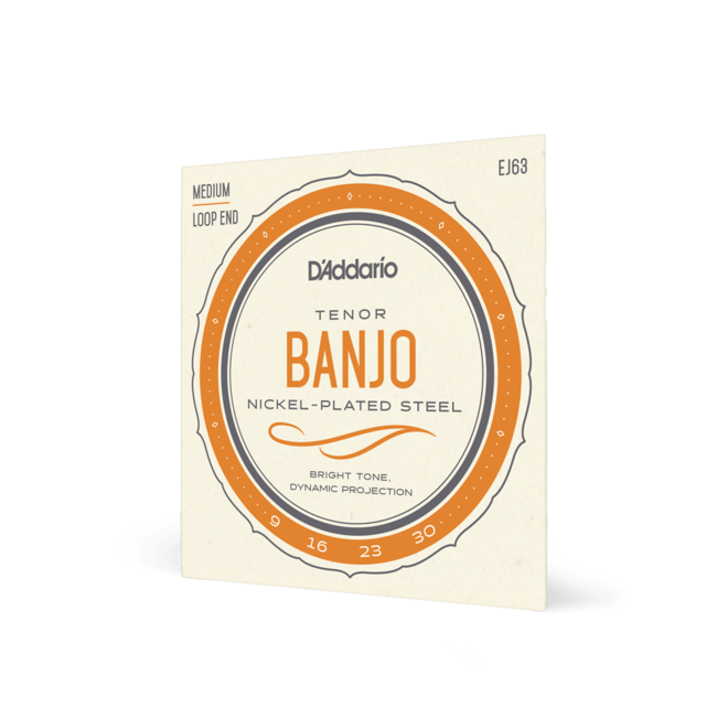 D'Addario Nickel Wound Tenor Banjo Strings, 4-String, 9-30