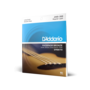 D'Addario EPBB170 Acoustic Bass Guitar Strings, 45-100 Light, Long Scale