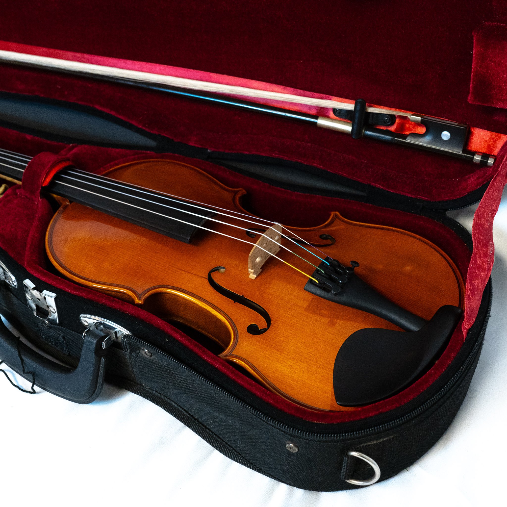 Eastman VL80 3/4 Size Violin Outfit - Janzen Brothers Music Company