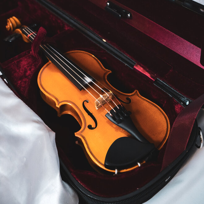 Eastman VL80 Student Violin Outfit, 1/16