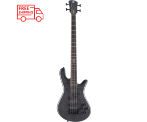 spector-spector-ns-pulse-ii-