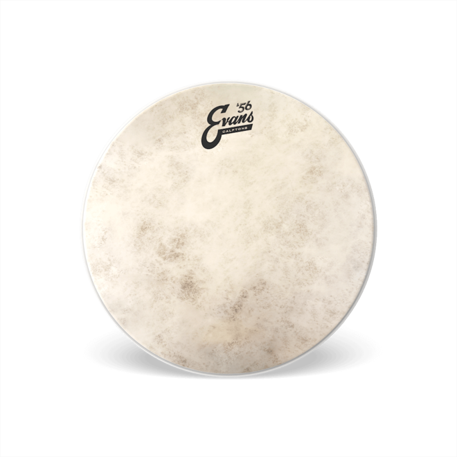 EVANS 10" Calftone Batter Drumhead