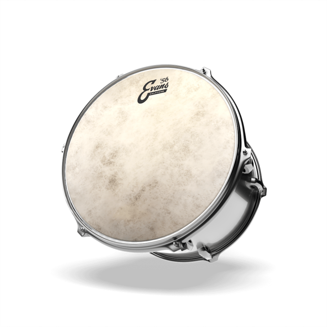EVANS 13" Calftone Batter Drumhead