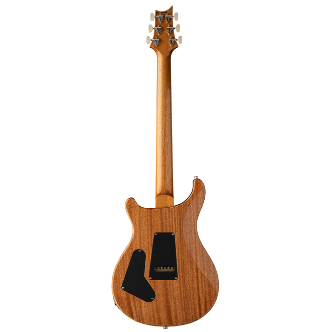 PRS Custom 24 Electric Guitar, Pattern Thin Neck, Yellow Tiger 10-Top, Hardshell Case