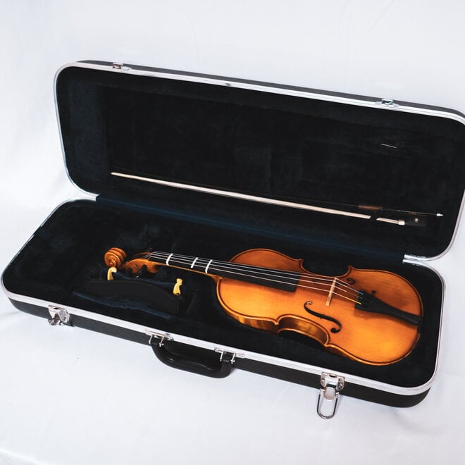 Eastman VL100 Student Violin Outfit, 3/4