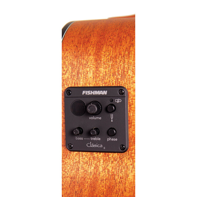 Denver Mini Acoustic-Electric Bass Guitar, Mahogany, w/Gigbag