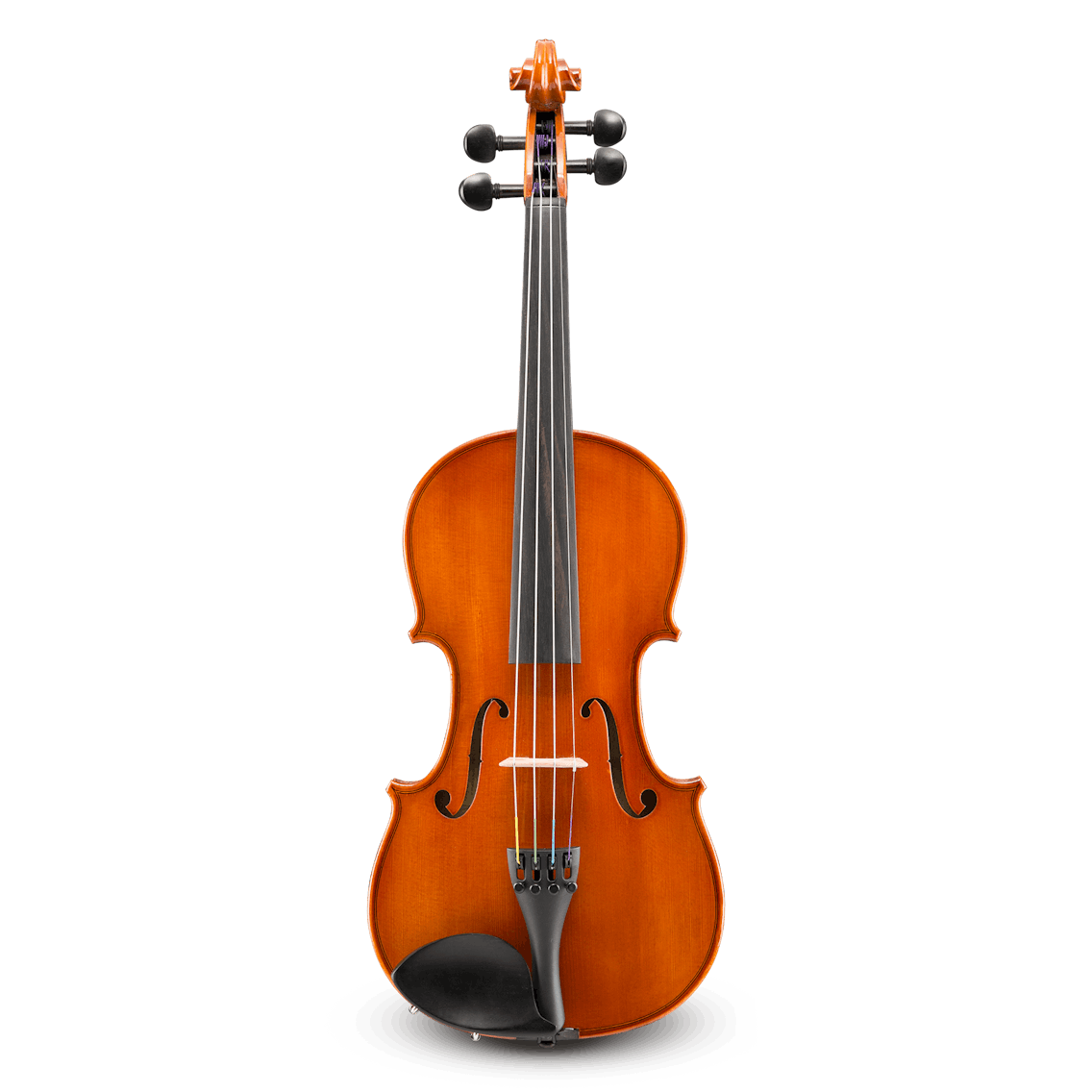 Samuel Eastman VL80 Student Violin Outfit, 1/2 (CA450, BL10