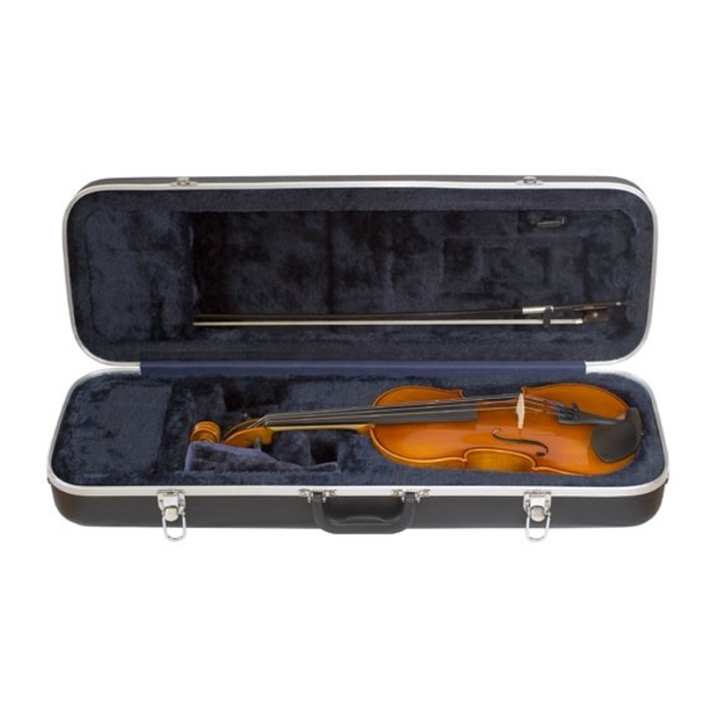 Samuel Eastman VL80 Student Violin Outfit, 1/2 (CA450, BL10