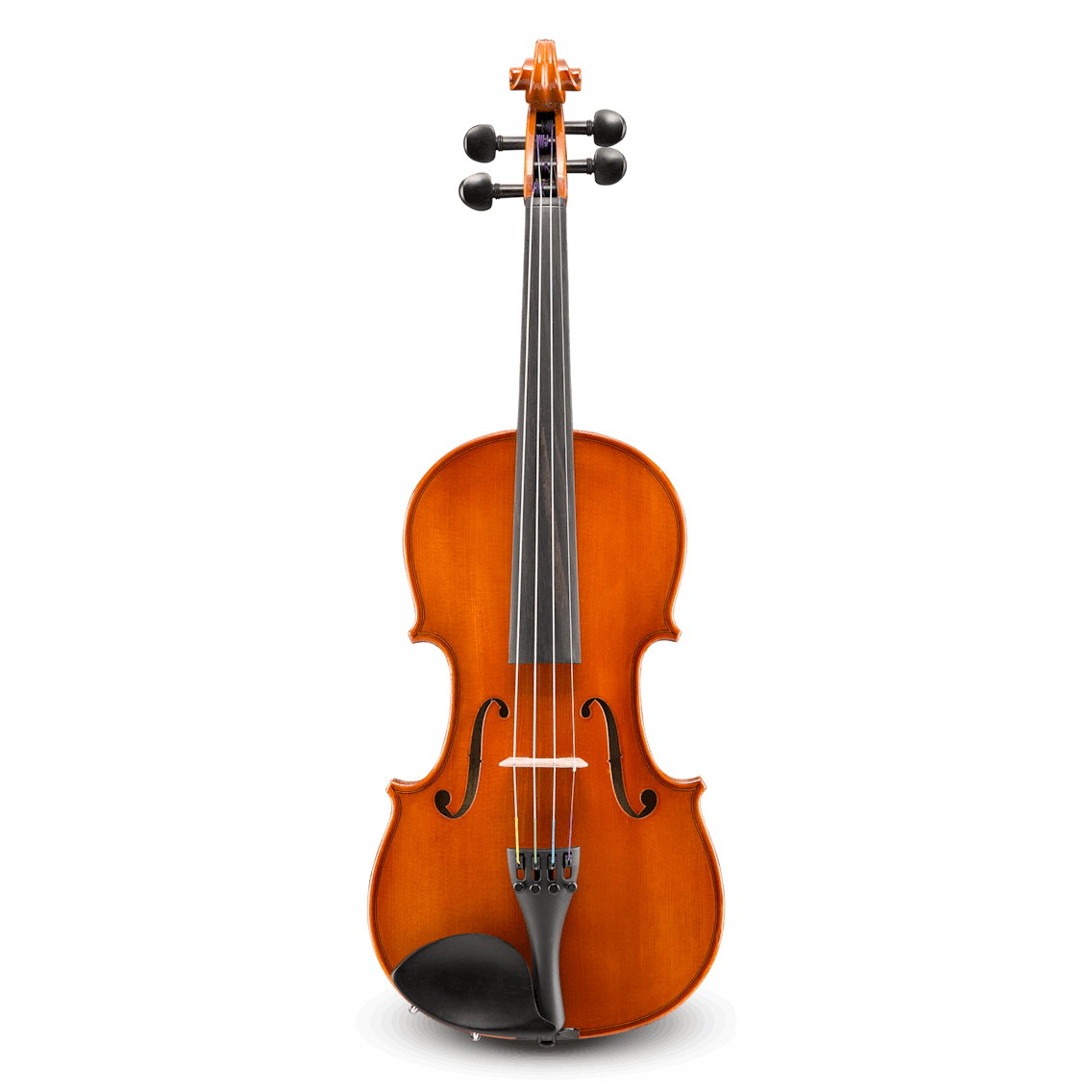 Samuel Eastman VL80 Student Violin Outfit, 3/4 (CA450, BL10 