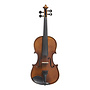Stentor Graduate Violin Outfit, 4/4