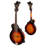 Eastman MD815/v F-Style Mandolin, Solid Adirondack Spruce/Flamed Maple, Sunburst Antique Varnish, w/Case