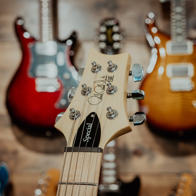 PRS SE Swamp Ash Special Electric Guitar, Vintage Sunburst, Gigbag