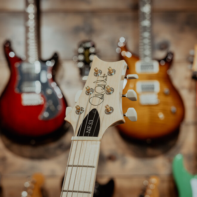 PRS NF 53 Electric Guitar, White Doghair, Gigbag