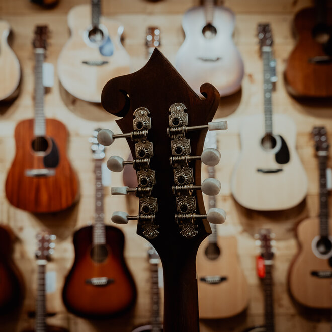 Eastman MD315 F-Style Mandolin, Solid Spruce/Maple, Classic Satin Finish, w/Gigbag